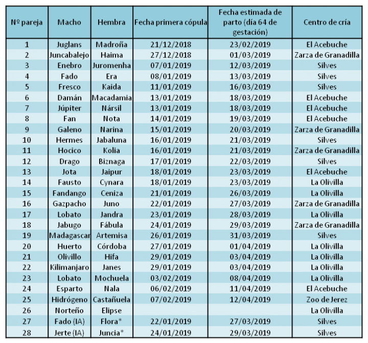 Tabla emparejamientos